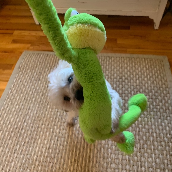 Meet your Posher, Lennie - Picture 2 of 3